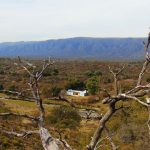 Hostal – Al otro lado del río