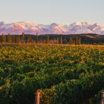 ¿Qué hay en Mendoza además de buen vino?