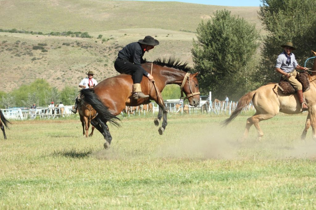 Doma de un caballo, Fiesta Nacional del Puestero