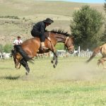 Fiesta Nacional del Puestero: tradición a flor de piel