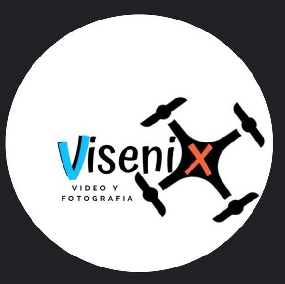 Logo Visenix