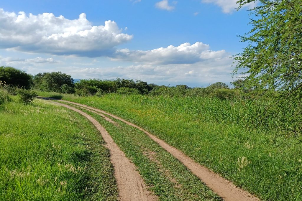 Paisaje de la Reserva Natural Urbana San Martín, Córdoba