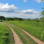 Naturaleza pura: áreas protegidas de Córdoba para visitar