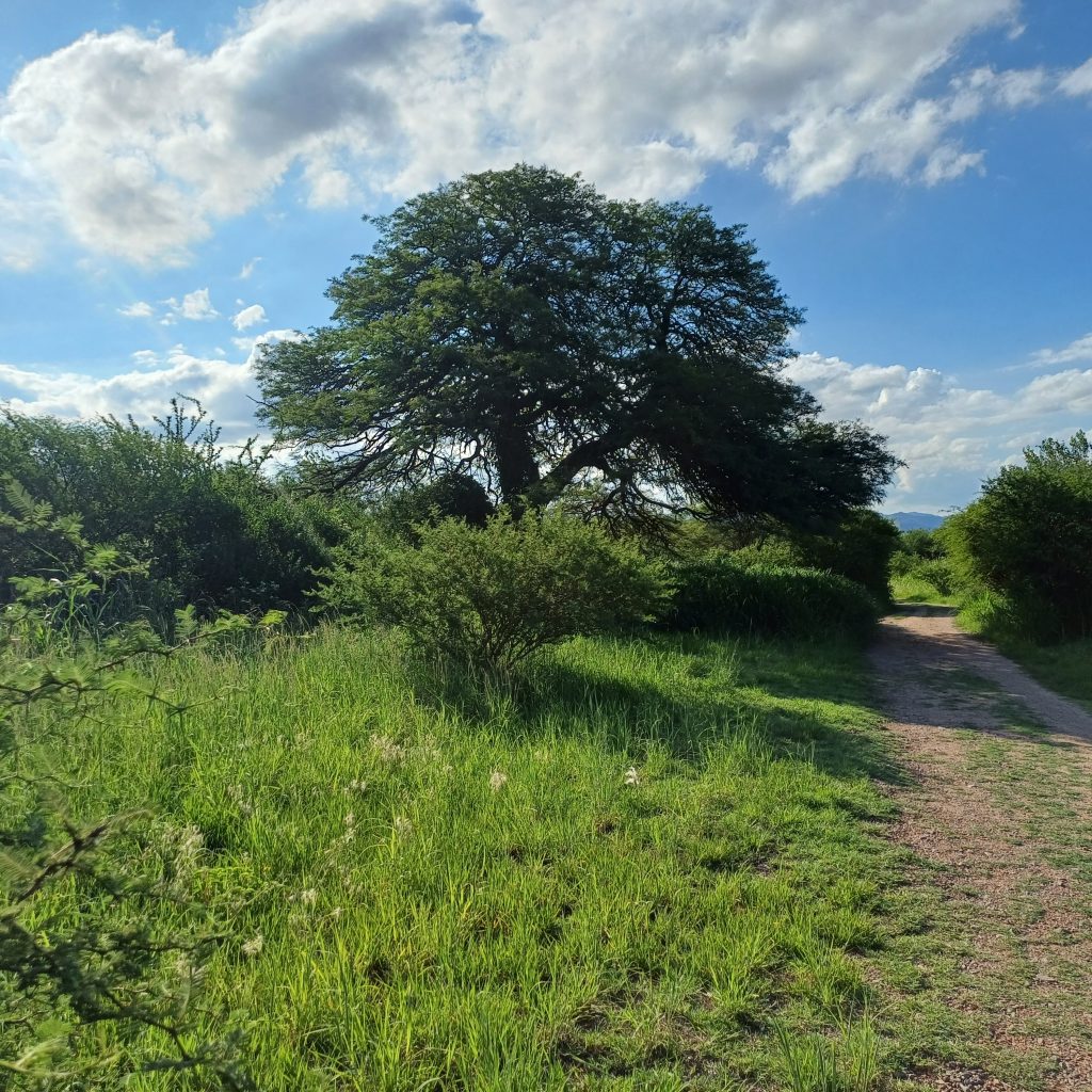 Reserva Natural Urbana San Martín, Córdoba