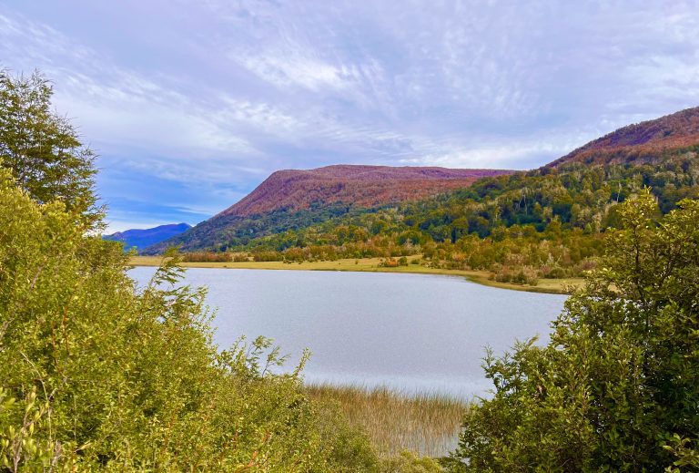 laguna rosales en otoño, fotografía de Gustavo Arias @gusariase