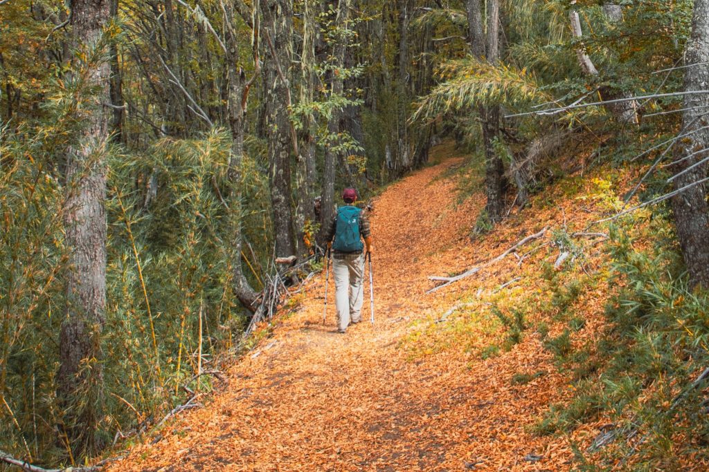 Trekking en otoño