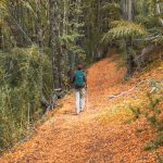 Consejos para salir de trekking en otoño