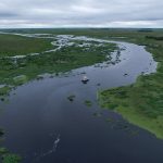 Esteros del Iberá: Naturaleza Intacta en el Corazón de Corrientes