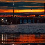 Lo que tenés que saber antes de visitar Puerto Madryn