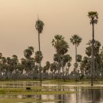 Formosa: entre paisajes y cultura