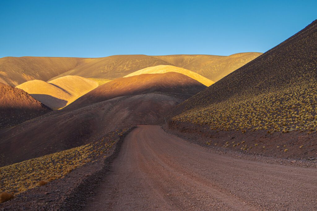 Camino de ripio serpenteando entre cerros dorados y ocres iluminados por el sol de la mañana, en la ruta hacia el Corona del Inca, La Rioja