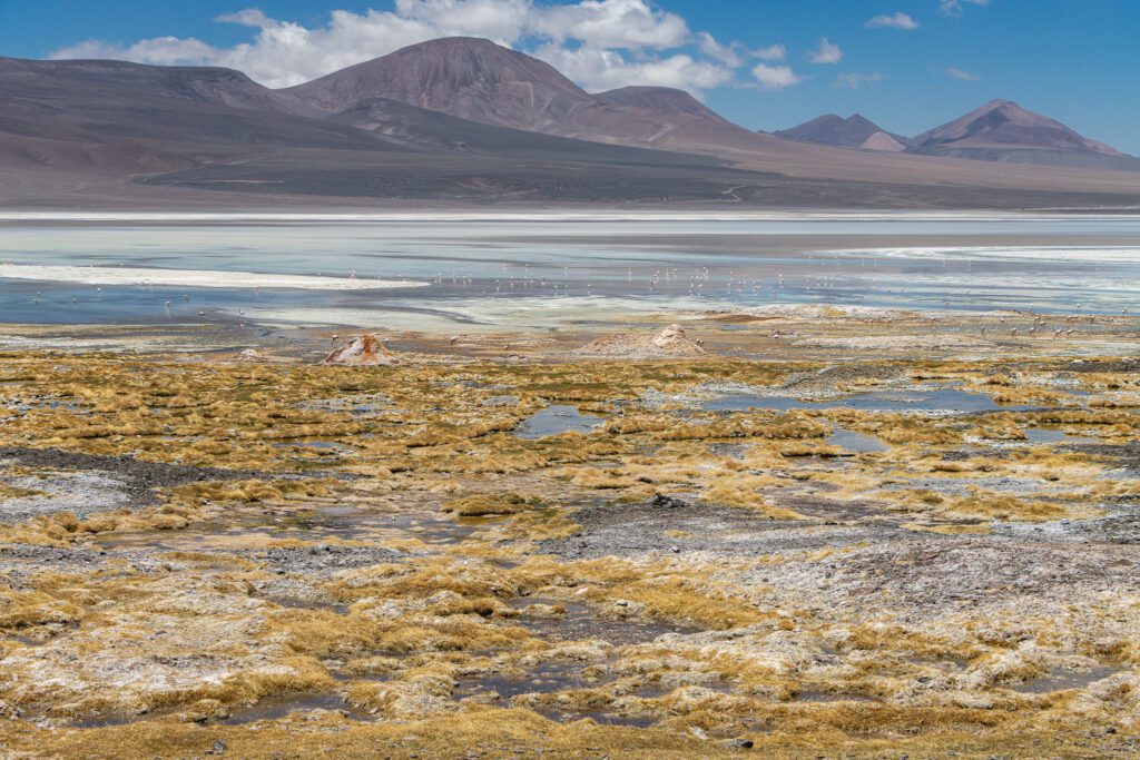 Vista de la Laguna Brava con flamencos en la orilla y la cordillera riojana de fondo, bajo un cielo con nubes